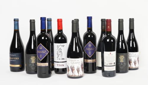12 BOTTLES SPANISH RED WINE