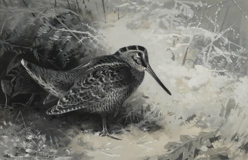 ARCHIBALD THORBURN (BRITISH, 1860-1935)