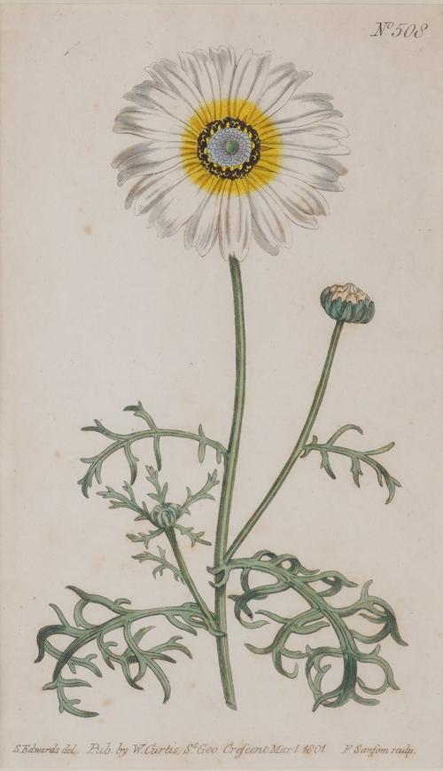 FRANCIS SANSOM (BRTIISH, ACT. 1785-1799) AFTER SYDENHAM EDWARDS (6)