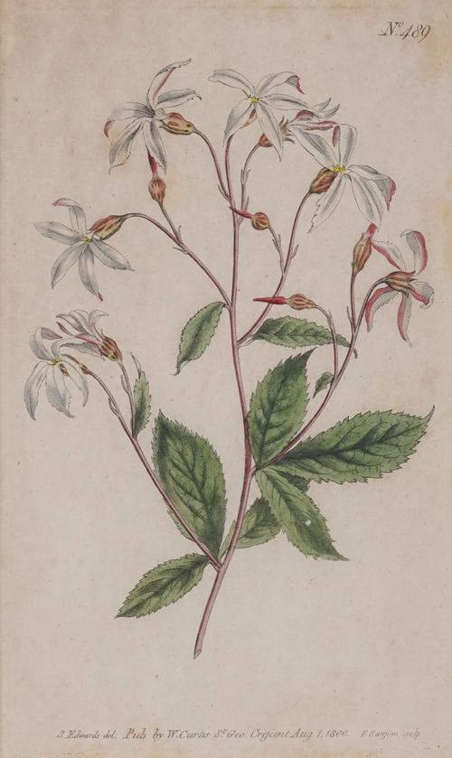 FRANCIS SANSOM (BRTIISH, ACT. 1785-1799) AFTER SYDENHAM EDWARDS (6)