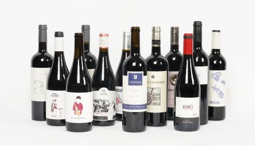 12 BOTTLES SPANISH RED WINE