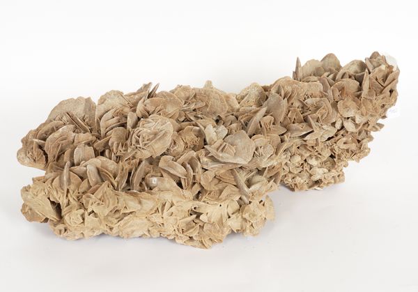 NATURAL HISTORY: A DESERT ROSE GYPSUM CRYSTAL MINERAL SPECIMEN