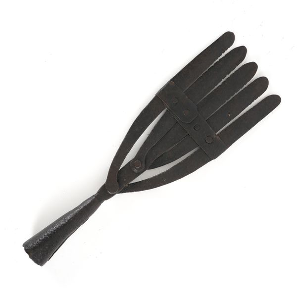 AN EEL SPEAR HEAD