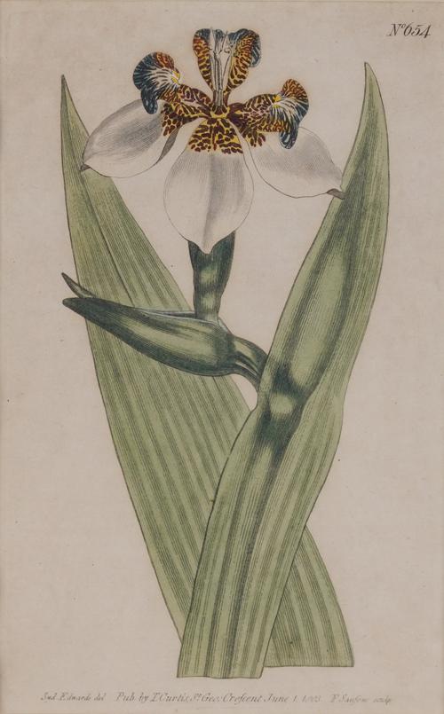 FRANCIS SANSOM (BRTIISH, ACT. 1785-1799) AFTER SYDENHAM EDWARDS (6)