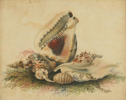 EUROPEAN SCHOOL, 19TH CENTURY