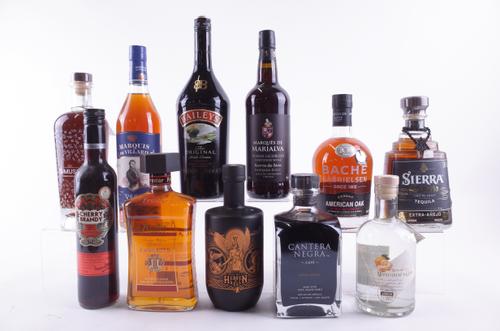 ELEVEN BOTTLES VARIOUS SPIRITS AND LIQUEURS