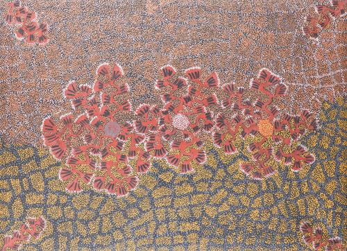 DOROTHY NAPANGARDI (AUSTRALIAN, 1956-2013)