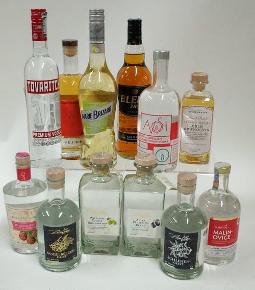 A COLLECTION OF SPIRITS INCLUDING A BOTTLE OF AVOSH AUSTRALIAN HONEY VODKA (12)
