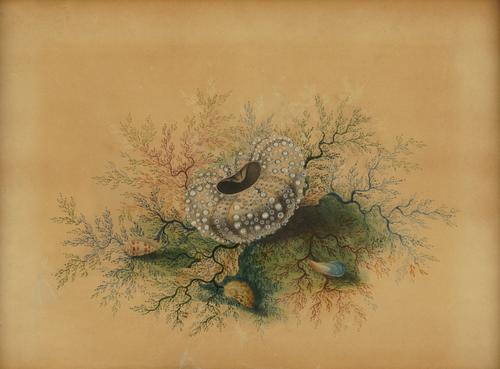 EUROPEAN SCHOOL, 19TH CENTURY