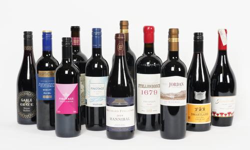 12 BOTTLES SOUTH AFRICAN AND EGYPTIAN RED WINE