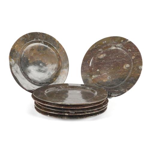 A GROUP OF SEVEN FOSSIL PLATES WITH ORTHOCERAS AND GONIATITE INCLUSIONS (7)