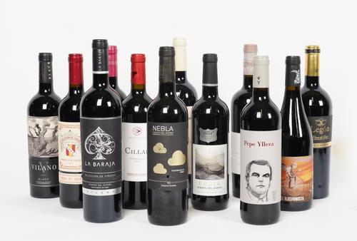 12 BOTTLES SPANISH RED WINE