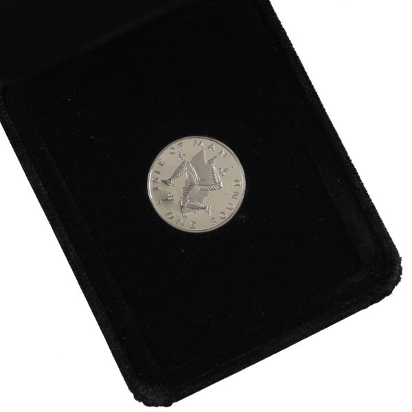 AN ISLE OF MAN PLATINUM PROOF ONE POUND