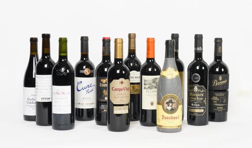 12 BOTTLES RIOJA