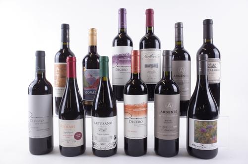 TWELVE BOTTLES ARGENTINIAN RED WINE