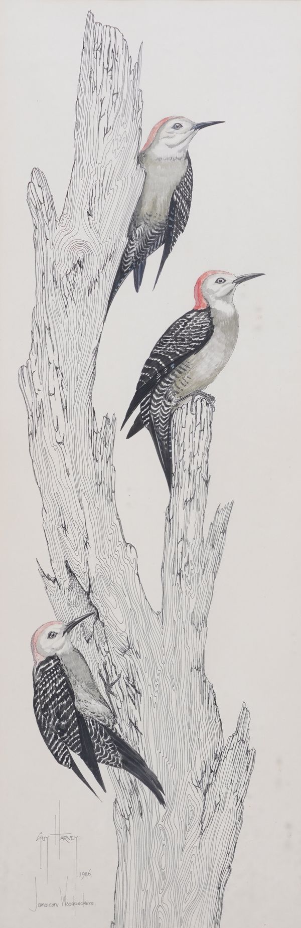 GUY HARVEY (JAMAICAN, B. 1955)