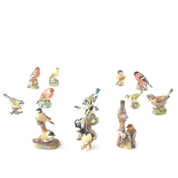 THIRTEEN ROYAL WORCESTER BONE CHINA BIRD MODELS (13)