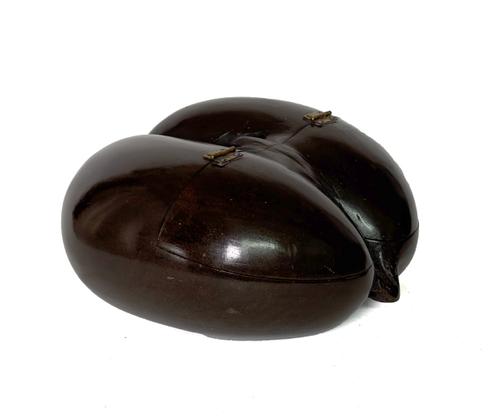 A COCO-DE-MER (LODOICEA MALDIVICA) HINGED BOX