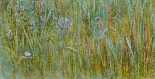 HELEN ALLINGHAM (BRITISH, 1848-1926)