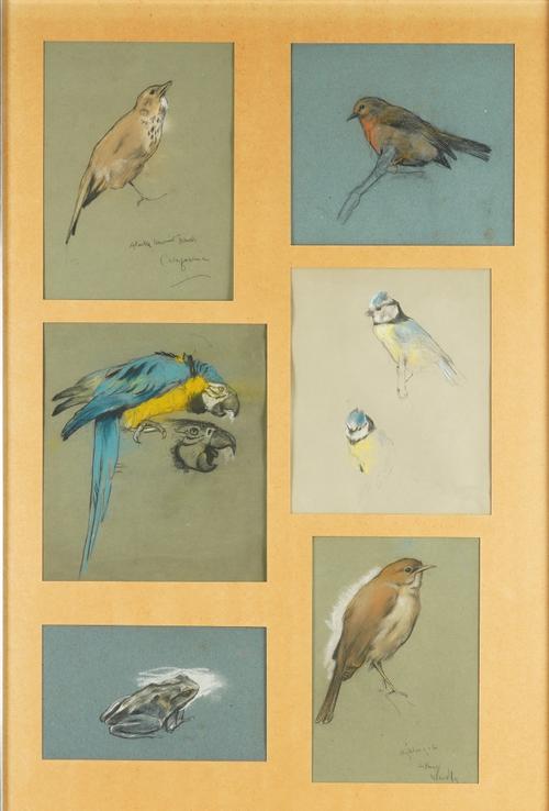 ARTHUR WARDLE (1864-1949) (six framed as one)