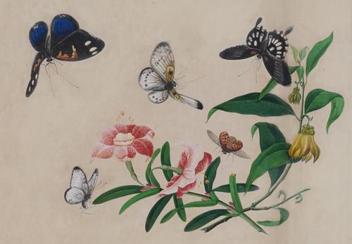 ENGLISH SCHOOL, 18TH CENTURY