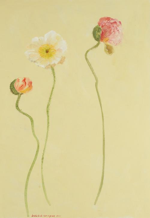 ISABELLE DE BORCHGRAVE (BELGIAN, 1946-2024)