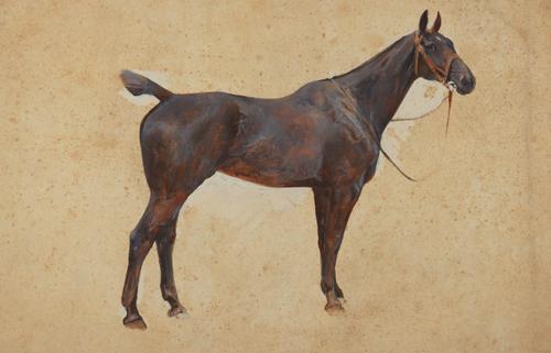 ARTHUR WARDLE (BRITISH, 1864-1949)