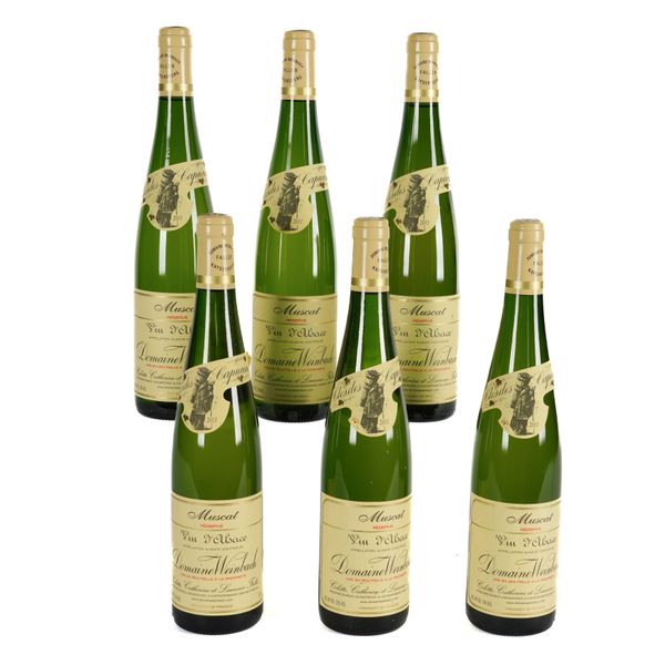 SIX BOTTLES DOMAINE WEINBACH MUSCAT ALSACE RÉSERVE 2013 (6)