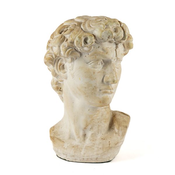 A PLASTER PORTRAIT HEAD CAST AFTER MICHELANGELO'S DAVID