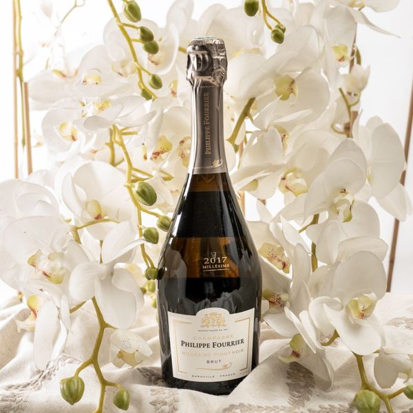 Timed Wines & Spirits | Ending 31 August
