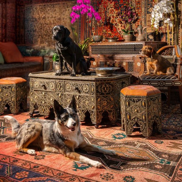 13-14 January | Antiques & Interiors