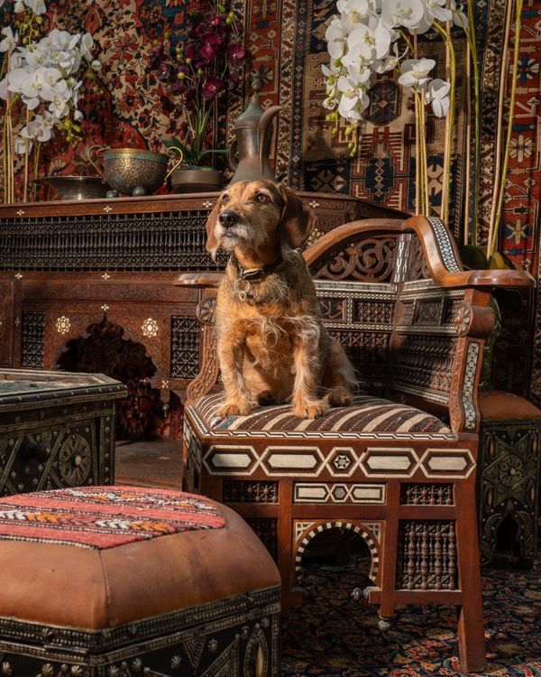 17-18 February | Antiques & Interiors