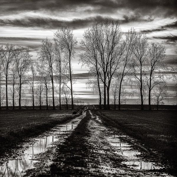 James Sparshatt (1966 - )