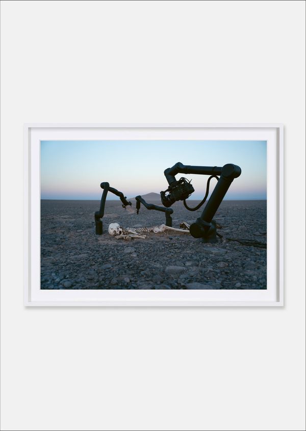 Pierre Huyghe