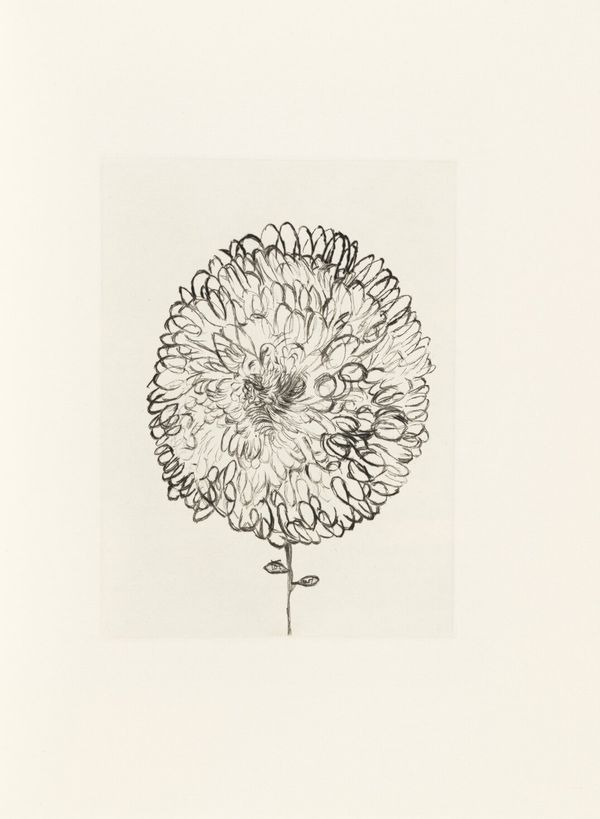 Louise Bourgeois