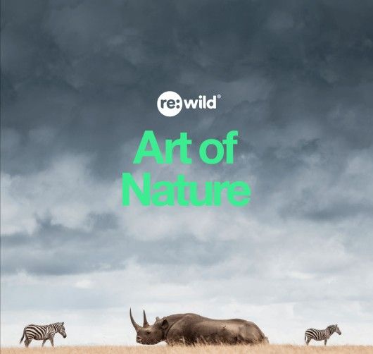 Re:wild's 'Art of Nature' Benefit Auction