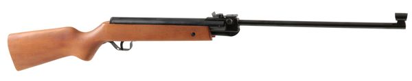 A .22 AIR RIFLE