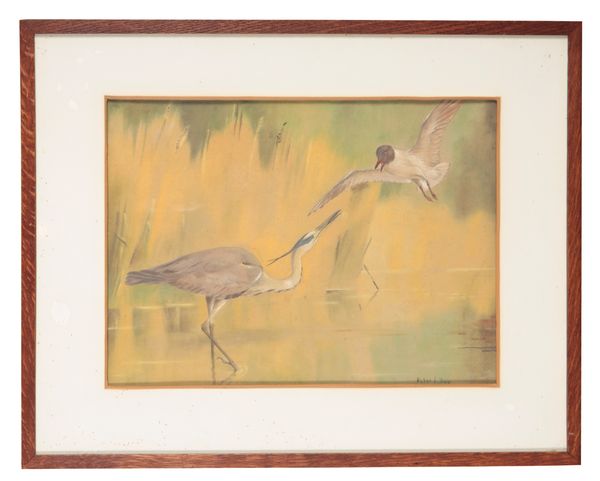 PETER L. DAY (20TH Century) A Heron and a Black-Headed Gull in a face off