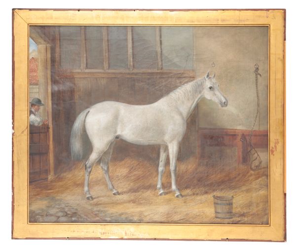 A STABLED GRAY HORSE WITH ONLOOKING GROOM