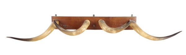 A COW HORN HAT AND COAT RACK