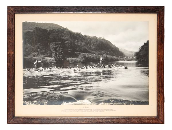 A LARGE BLACK AND WHITE PHOTOGRAPH OF THE WYE VALLEY OTTER HOUNDS CROSSING THE WYE