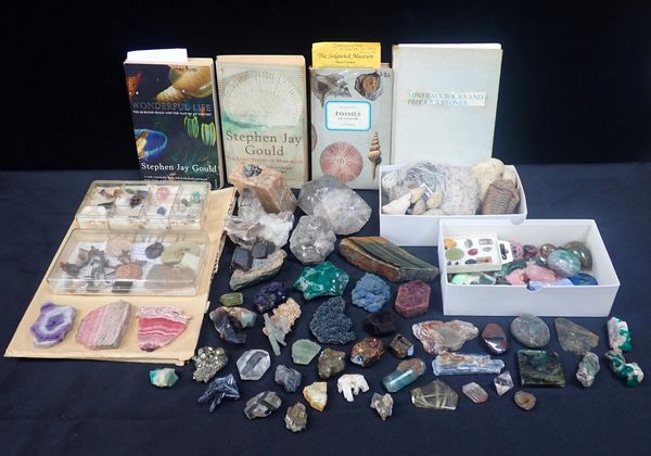 A COLLECTION OF MINERAL SPECIMENS