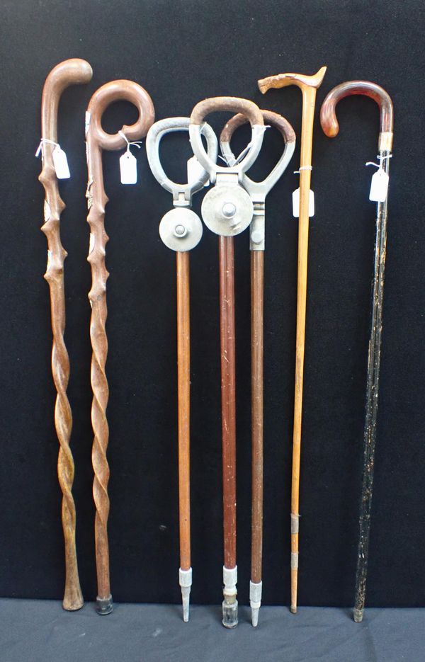 TWO ALPINE WALKING STICKS WITH TWISTED SHAFTS