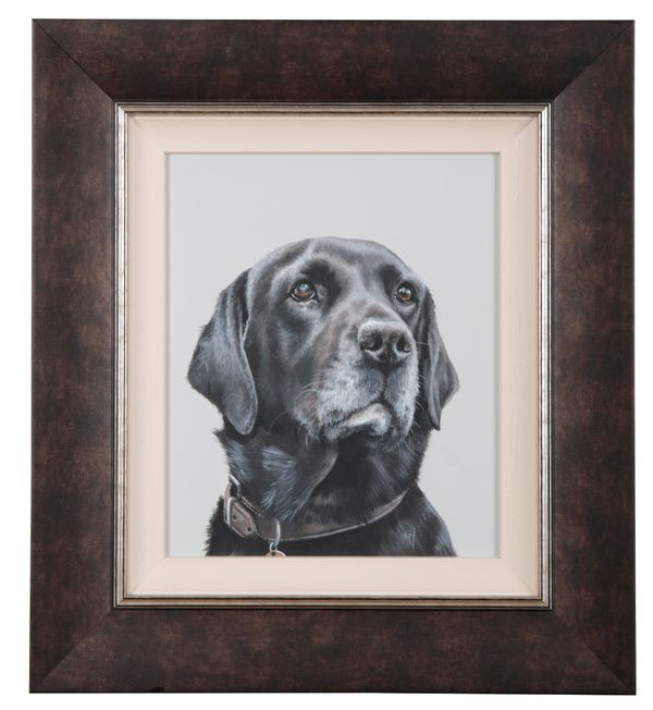 ENGLISH SCHOOL, CONTEMPORARY, A Portrait of a Black Labrador