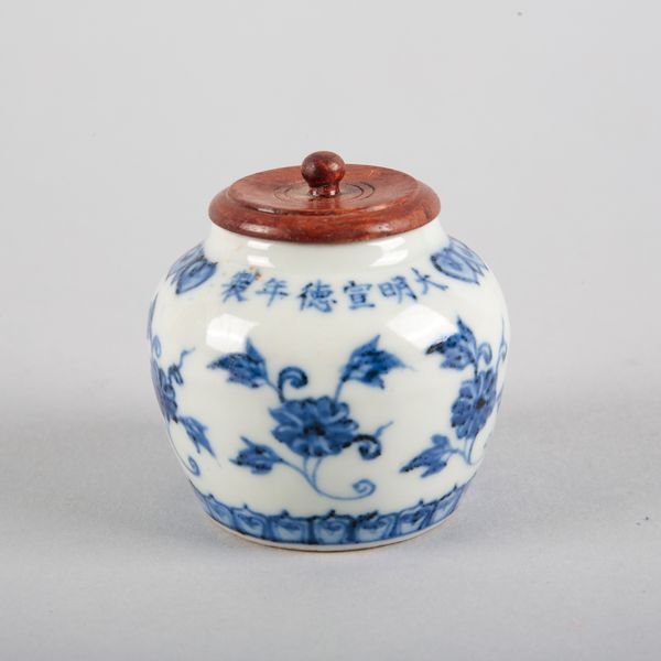 A CHINESE PORCELAIN BLUE AND WHITE JAR