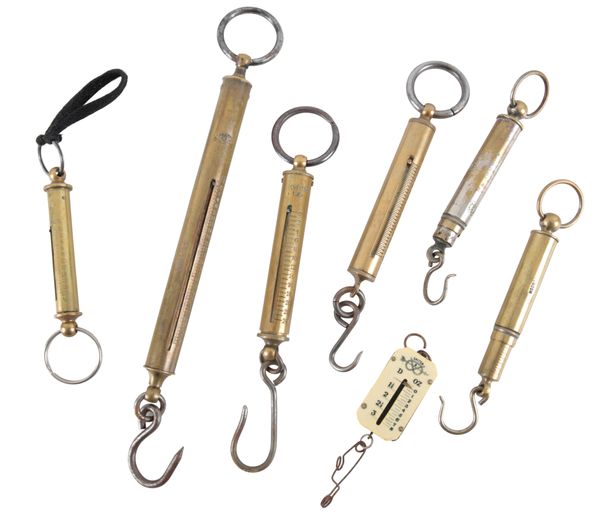 A COLLECTION OF SEVEN VARIOUS FISHING SCALES