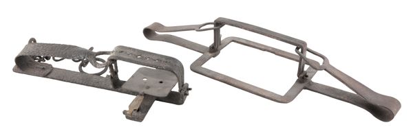 A LARGE 6" JAW GIN TRAP
