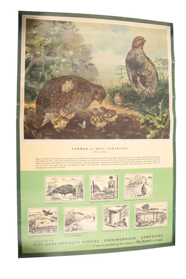 AN ELEY GAME ADVISORY SERVICE POSTER