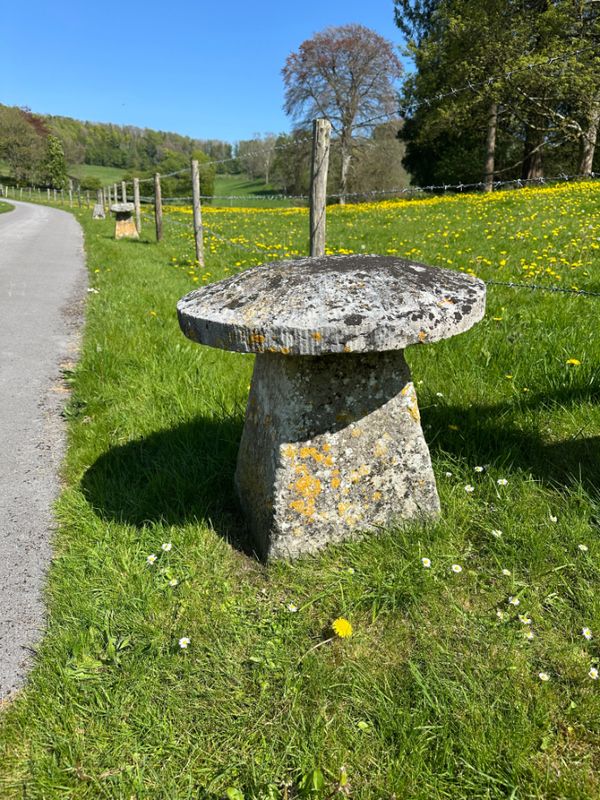 AN ASSOCIATED GROUP OF FIVE STADDLE STONES