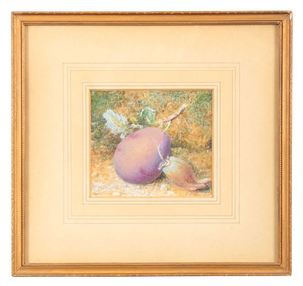 WILLIAM HOUGH (1819-1897) Still life with plum and cobnut